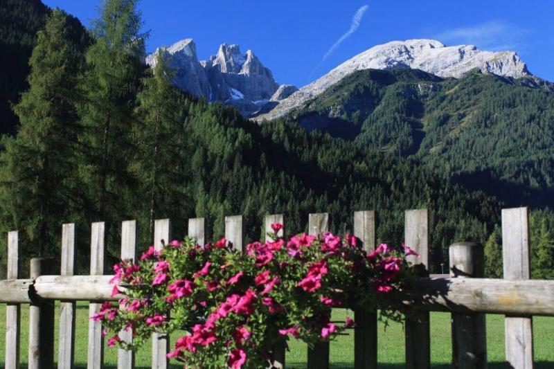 Hotel Stella Alpina