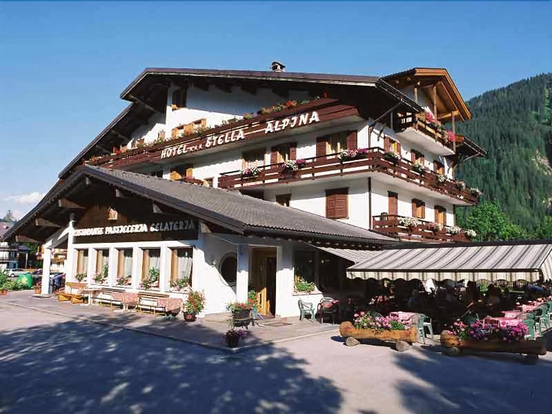 Stella Alpina Hotel 3*
