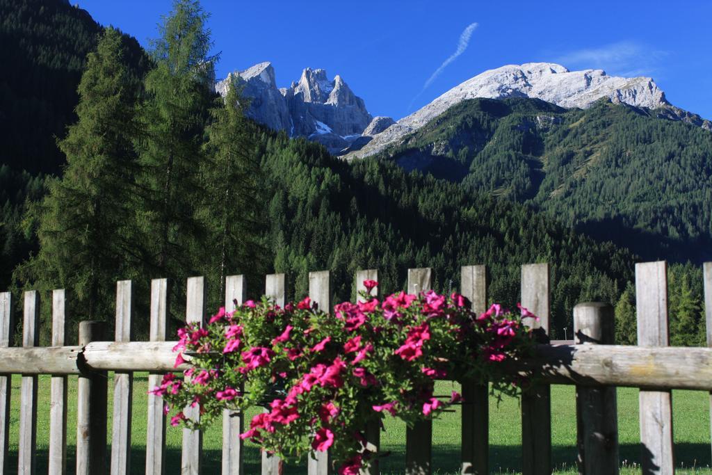 Stella Alpina Hotel